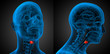 3d rendering medical illustration of the  larynx
