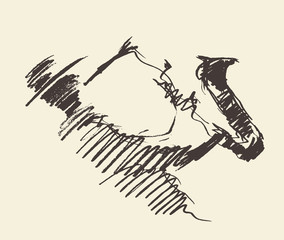 Man playing saxophone drawn vector sketch.