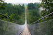 Geierlay suspension bridge from south to north