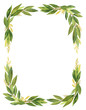 Watercolor Bay leaf wreath isolated on white background.