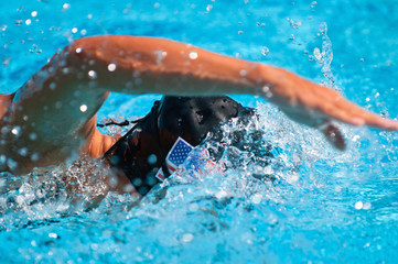 American freestyle swimmer