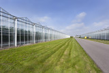 Fototapeta  - Greenhouses and an asphalt road