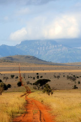 savannah landscape in the national park in kenya