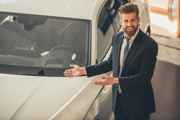 Wall Mural - Visiting car dealership