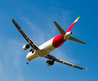 Iberia Airlines plane landing
