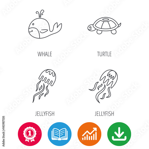 Turtle Growth Chart