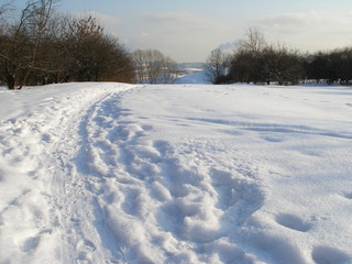 The winter landscape in the Kolomenskoye park in Moscow 