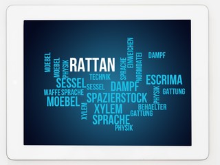 Poster - Rattan