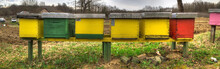 Bee Hives On A Cloudy Day