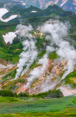 Wall Mural - The legendary Valley of Geysers in the summer on a cloudy day - Kamchatka, Russia