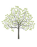 Fototapeta Panele - simple vector tree