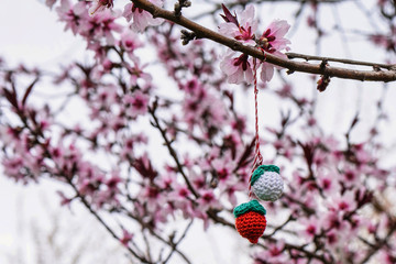 Wall Mural - Flowers of the pink tree orchard blossoms on a spring day