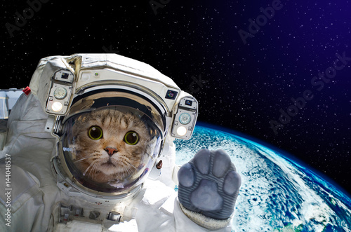 Obraz Dibond Kota astronauta w przestrzeni na tle kuli ziemskiej. Elementy tego obrazu dostarczone przez NASA.
