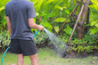 © oopoontongoo - Watering the boy's tree