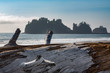 © robertharding - James Island with driftwood on the beach at La Push on the Pacific Northwest coast, Washington State