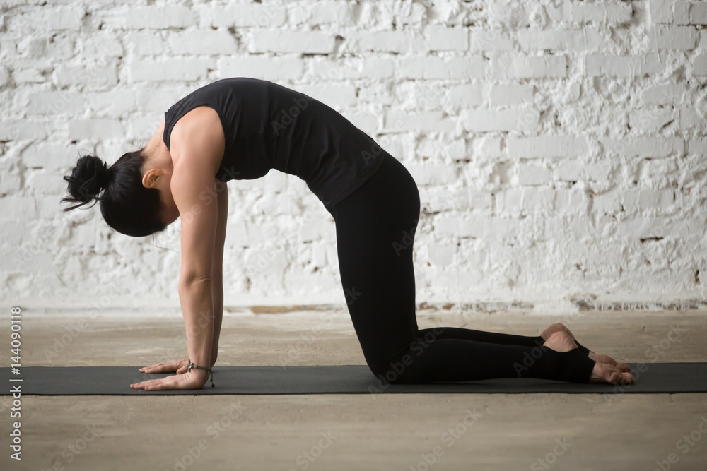 Young yogi woman practicing yoga concept standing in Cat exercise