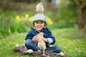 Cute little preschool child, boy, playing with easter eggs and chicks