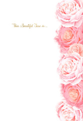 Fototapete - Elegance flowers frame of color roses. Composition with blossom flowers branches and lettering with place for text on the white background.