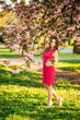 © Aleksandr - Beautiful girl posing to the photographer against the background of blooming pink trees. Spring. Sakura.