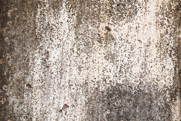 Poster - texture of stone