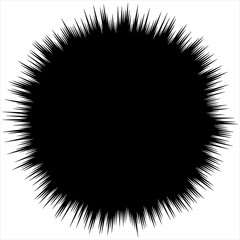 Poster - Concentric circular pattern. Random burst, radiating, radial element with distortion