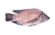 cross section of fresh Nile Tilapia fish on white background