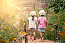 Back View Of Two Little Girls Holding Hand And Walking Together In The Garden In Vintage Color Tone