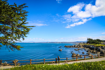 Nature: Pacific Grove