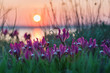 Wild irises on the estuary bank.