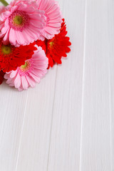 Wall Mural - Gerbera flowers on white wood vintage background. 8 march or Valentines day love design. Fresh natural flowers. Painted wooden planks.