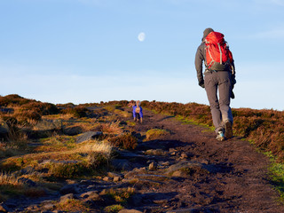 Wall Mural - A hiker and their dog walking in the Northumberland countryside, Simonside near Rothbury, England, UK.