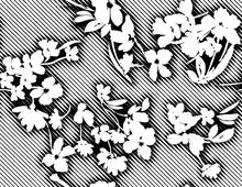 Black White Floral And Line Patterns