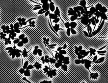 Black White Floral And Line Patterns