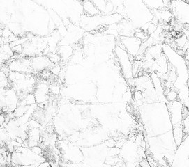 Wall Mural - wite marble texture background