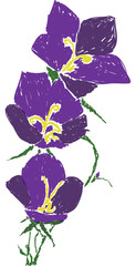 Sticker - dark violet bellflower picture on white