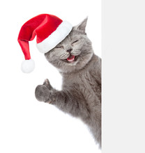 Happy Cat In Red Christmas Hat Peeking From Behind Empty Board And Showing Thumbs Up. Isolated On White Background