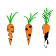 Rotten carrots