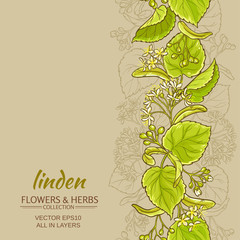 Wall Mural - linden vector background