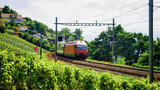 Fototapeta  - Train and railroad at Lavaux Vineyard Terrace