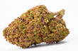 Close up of J1 strain prescription medical marijuana bud