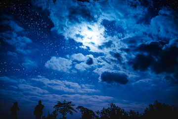 Wall Mural - Attractive of amazing blue dark night sky with stars and cloudy above field of trees.