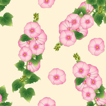 Pink Alcea Rosea - Hollyhocks, Aoi On Beige Ivory Background. Vector Illustration