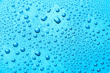 Wall Mural - Blue drops of water on a color background.