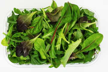 Healthy eating of arugula, mitsuna, chard, red mustard in plasti