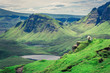 © shaiith - Sheeps in Quiraing in Isle of Skye, Scotland