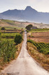 Country road, cultivation fields, mountains in the background - Sicily, Italy
