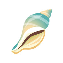 Smooth White And Blue Sea Shell, An Empty Shell Of A Sea Mollusk. Colorful Cartoon Illustration