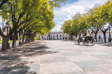 Wall Mural - Horse carriage in Jerez de la Frontera,Spain