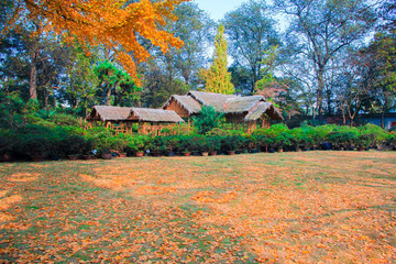 Chinese garden on a sunny bright autumn day