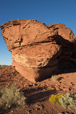 Fototapeta  - Desert Rocks